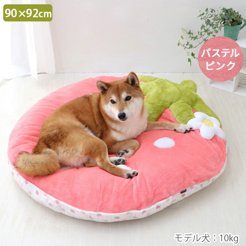 楽天市場】【ポイント10倍】【880円OFF】【ペットパラダイス公式】 犬