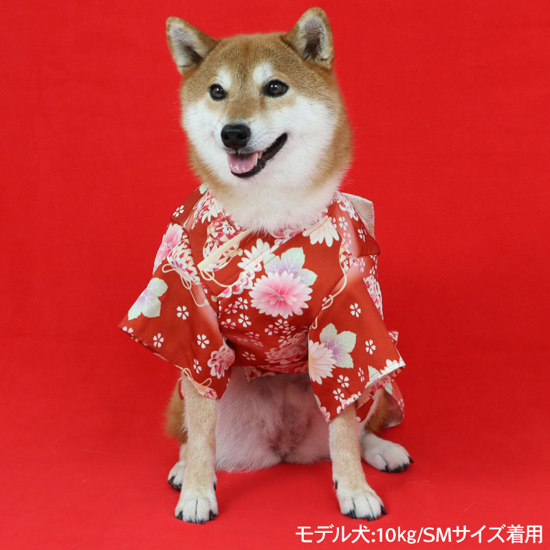 犬服 3S わんこの普段着 レトロな小鳥 赤 犬服 3S わんこの普段着