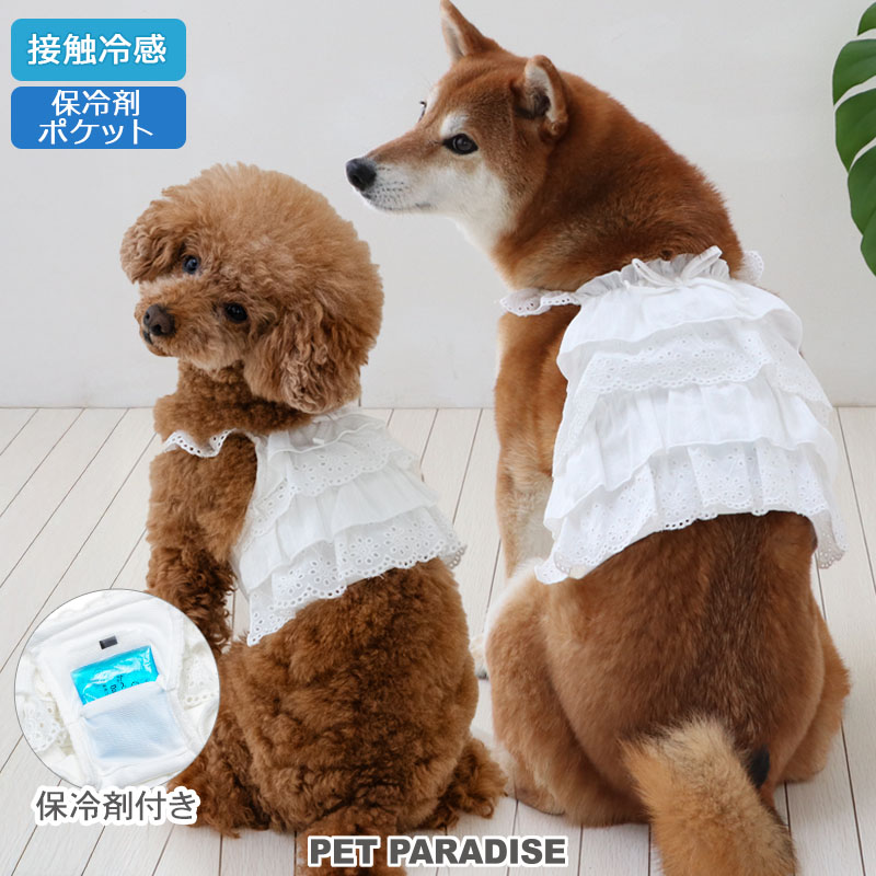 楽天市場】【880円OFF】犬 夏服 犬 服 クール 接触冷感 ビスチェ風
