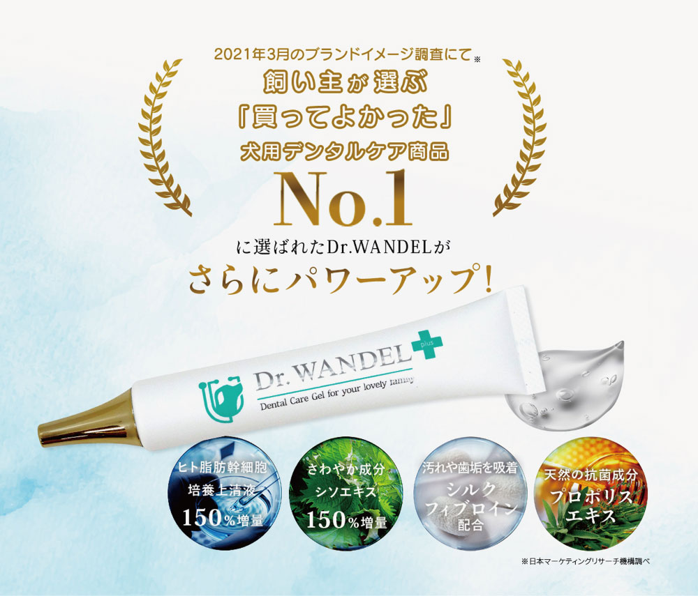 楽天市場】Dr.wandel ドクターワンデル 歯みがき粉 ドクターワンデル S