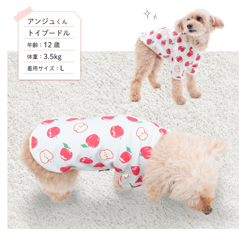 犬服 M わんこの普段着サイケなりんご