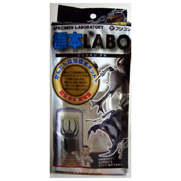 楽天市場】クワガタ標本セットの通販