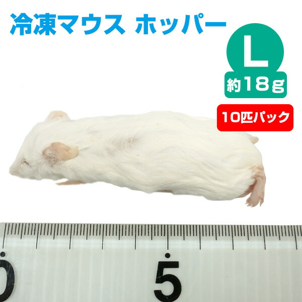 かず！爬虫類餌用 冷凍ヤワゲネズミ 60g～100g かず！爬虫類餌用 冷凍