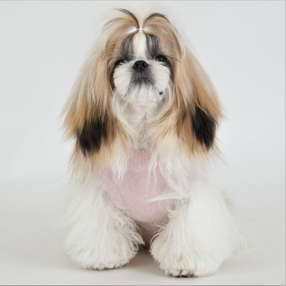 G.G. 犬服 クリーム色 リブ編み G.G. 犬服 クリーム色 リブ編み G.G.