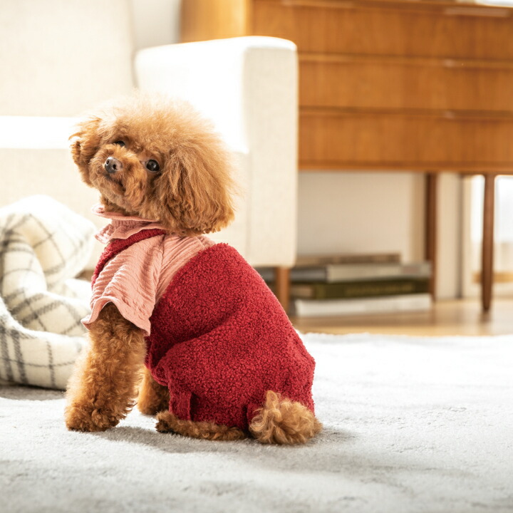 楽天市場】【期間限定価格】犬 冬服 2カラー ドッグウェア いぬ 服 犬