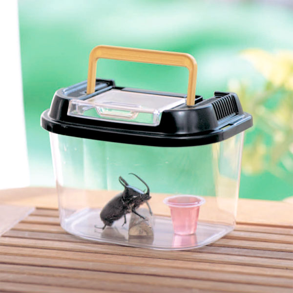 楽天市場】虫かご 昆虫ケース 飼育ケース 飼育ランド 昆虫ケージ 観察