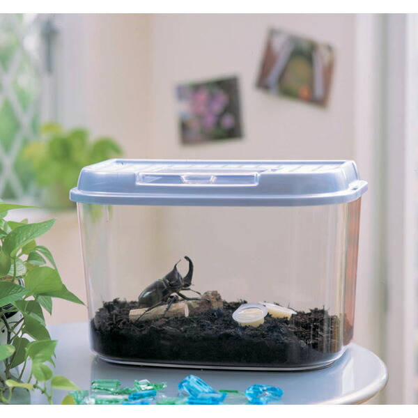 楽天市場】虫かご 昆虫ケース 飼育ケース 昆虫 虫かご 飼育ランド CY-L