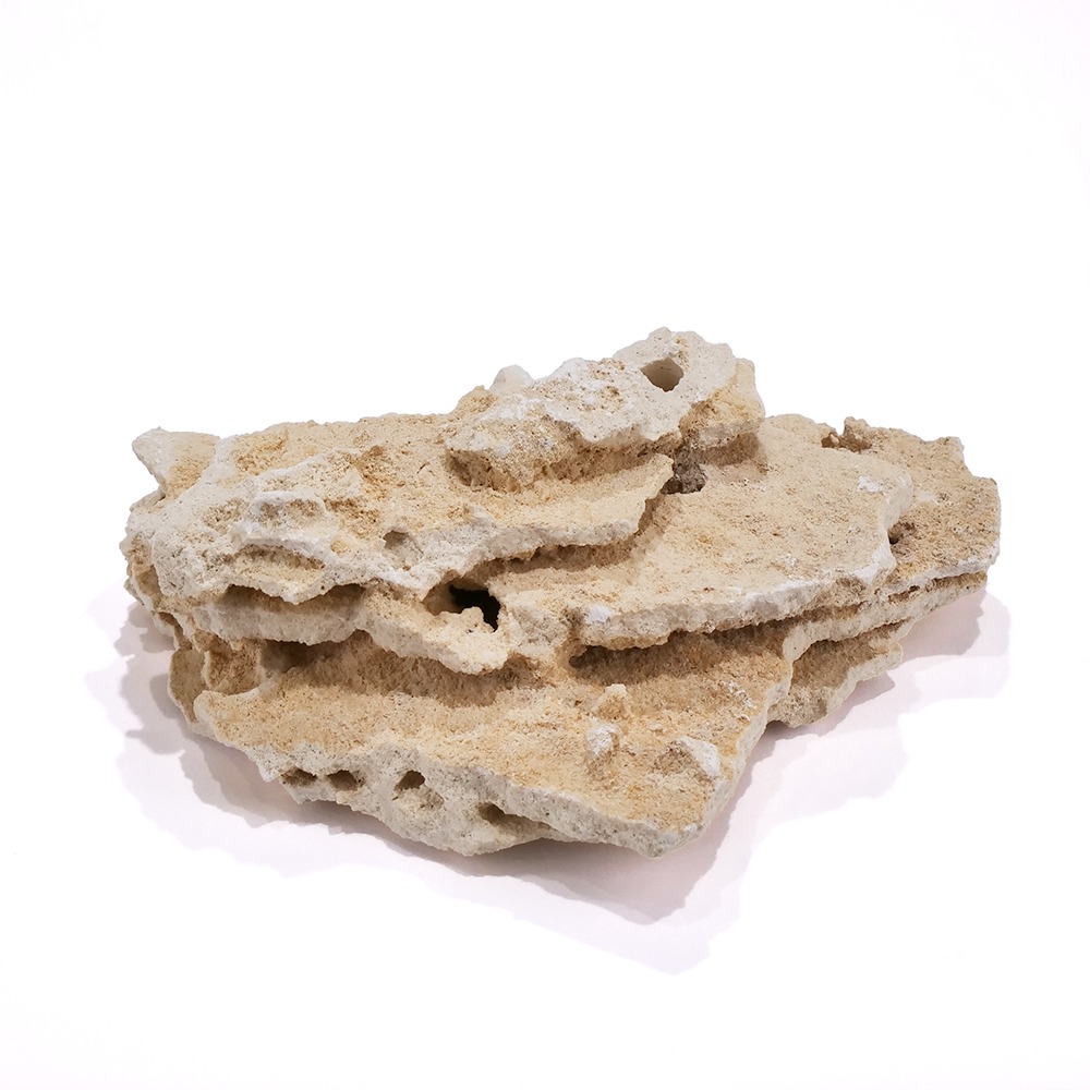 マルコロック リーフセメント セット マルコロック リーフセメント セット