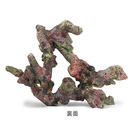 楽天市場】ライブロックモジュール B アクアリウム 擬岩 : plantstech