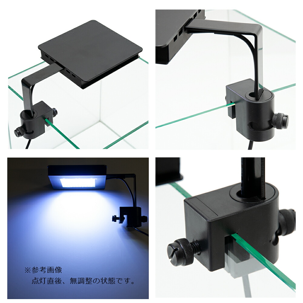 楽天市場】GEX LED FLUVAL SEA MARINE NANO