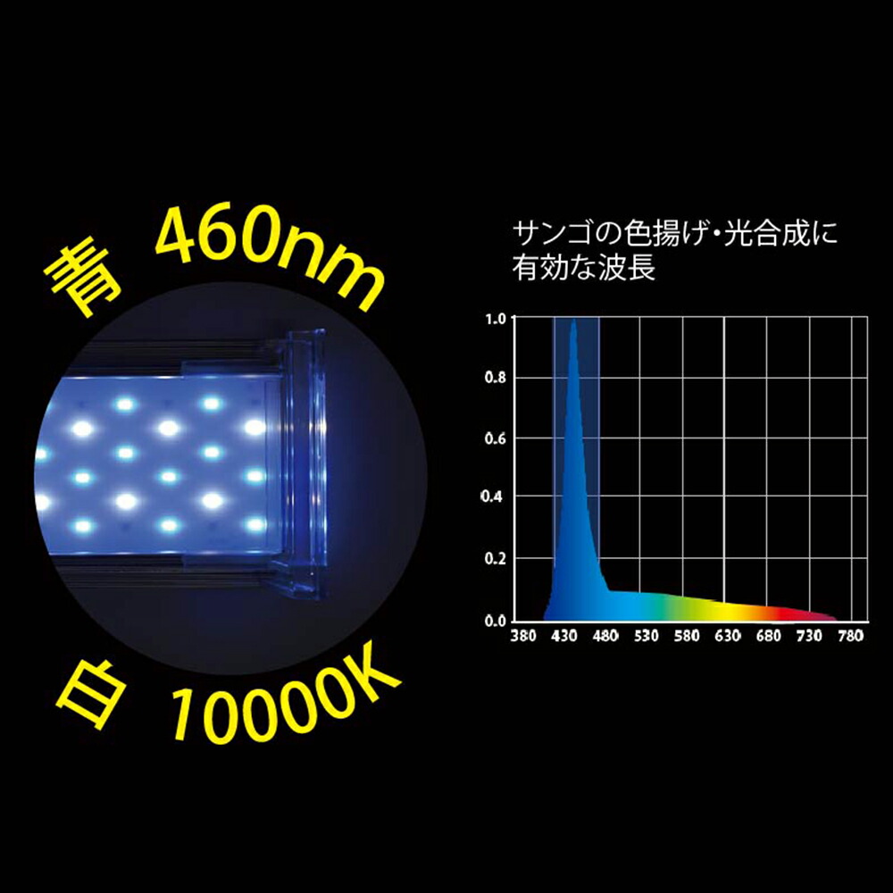 楽天市場】ゼンスイ LED Nano Levil 450 B／W 海水魚