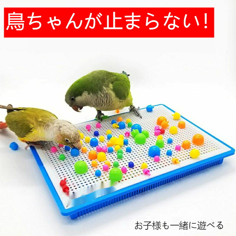 楽天市場】鳥のおもちゃ 鳥用玩具 プラスチック オカメインコ インコ