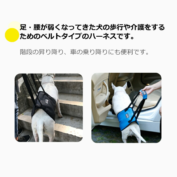 楽天市場】ペット 介護用 シニア犬 介護 ハーネス 歩行補助 介助 老犬