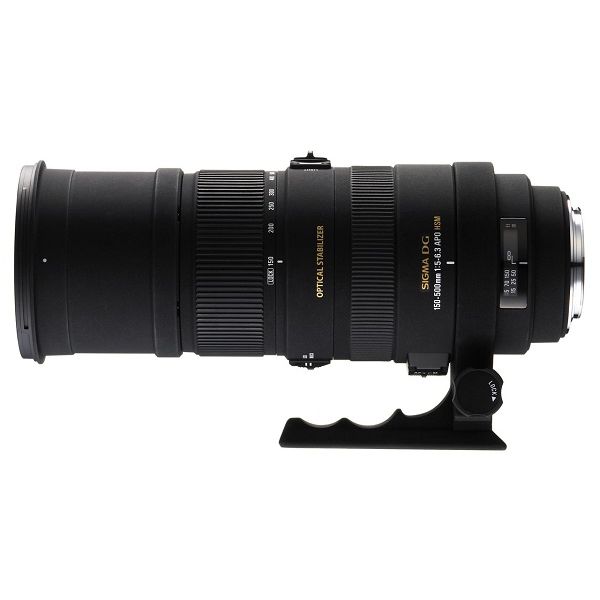 楽天市場】シグマ APO 150－500mm F5－6．3 DG OS HSM キヤノン用の通販