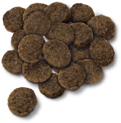 楽天市場】セレクトバランス ラム エイジングケア 小粒 7kg