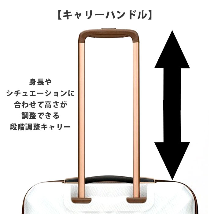 楽天市場】【2/10限定☆2人に1人最大全額Pバック！】 スーツケース