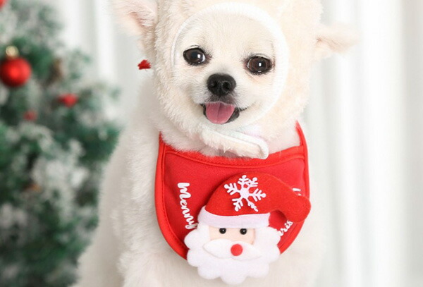 クリスマス幅広ファーシュシュ(赤シマナガエ)わんちゃん猫ちゃん用