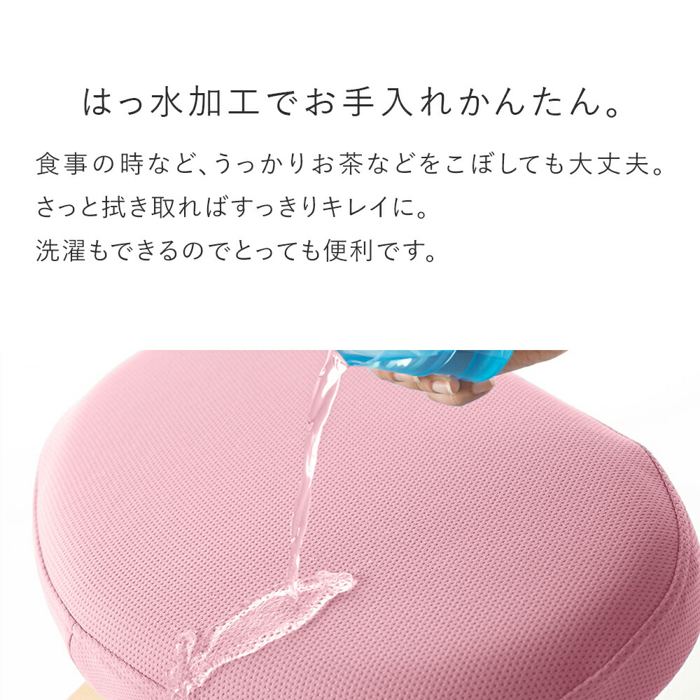 購入 【美品】バランスイージー （バランスラボ製）撥水加工カバー付き