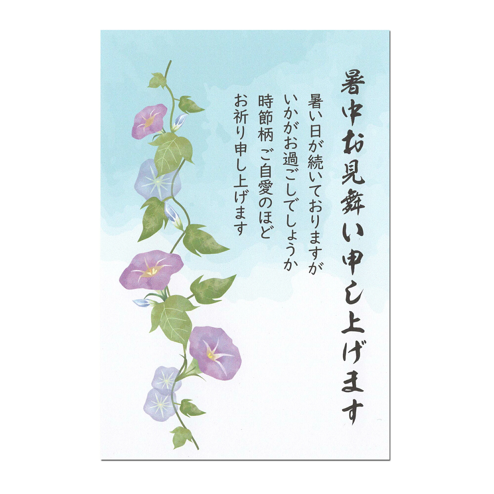 楽天市場】暑中見舞いはがき 10枚セット 書ける 暑中見舞いハガキ 暑中