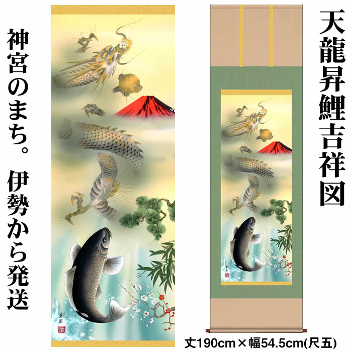 楽天市場】掛け軸【縁起画：天龍昇鯉吉祥図/KRD5-038】丈190cm×幅54.5