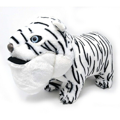 楽天市場】特価【 シャクレルプラネット ホワイトタイガー BIG