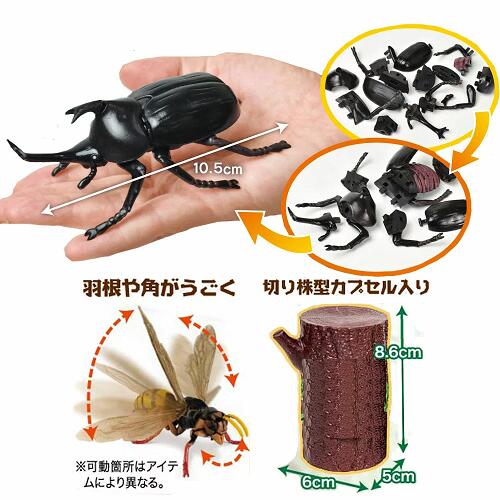 楽天市場】送料無料【座れる ふた付 収納 BOX ＋ 12体セット 昆虫 4D