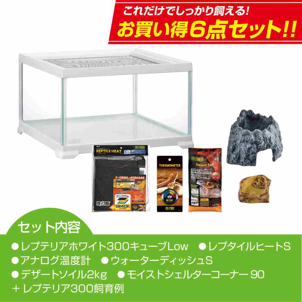 楽天市場】【全国送料無料】GEX エキゾテラ レプテリア レオパ飼育