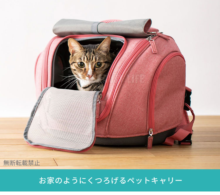 楽天市場】【レビュー報告でスライドロック】 OPPO オッポ Pet Carrier