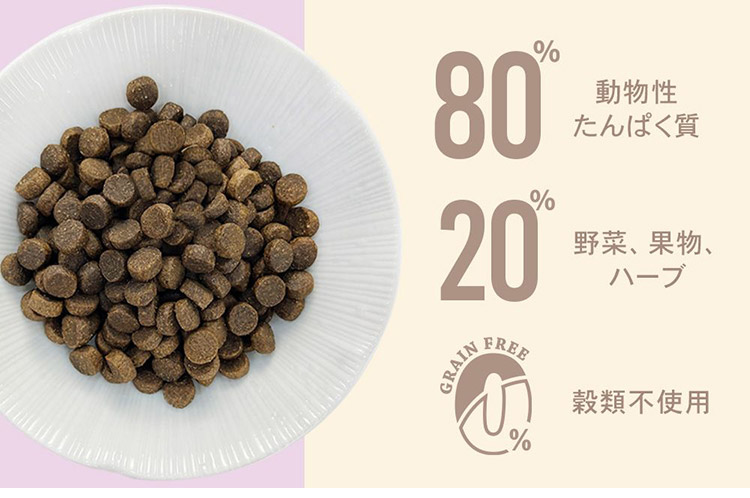 楽天市場】CHARM チャーム ラム&サーモンドッグ 10kg 犬用 いぬ用