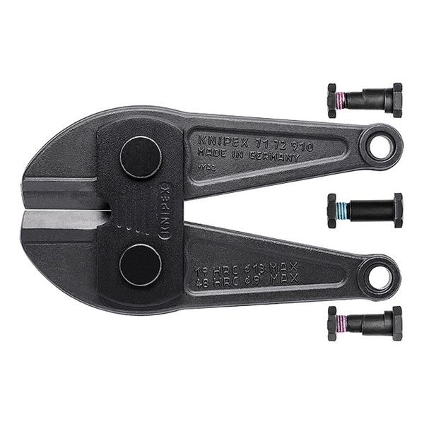 押すと音が出る伝説の卵 押すと音が出る伝説の卵 押すと音が出る伝説の卵