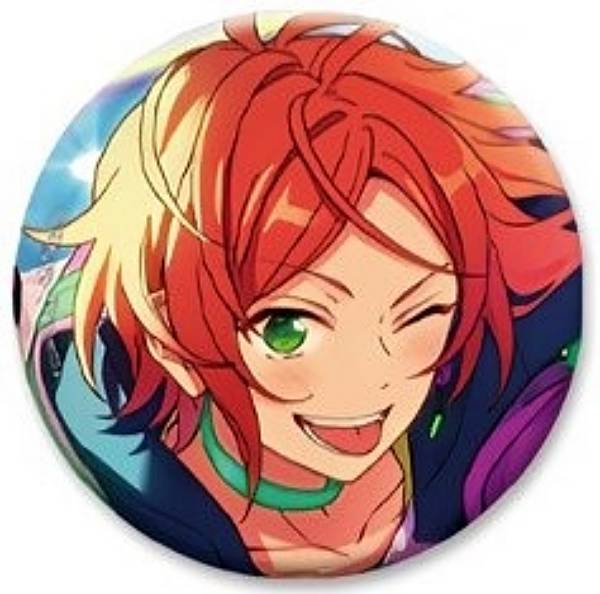 あんスタ】葵ひなた コレクション 缶バッジ idol 80個セット あんさん