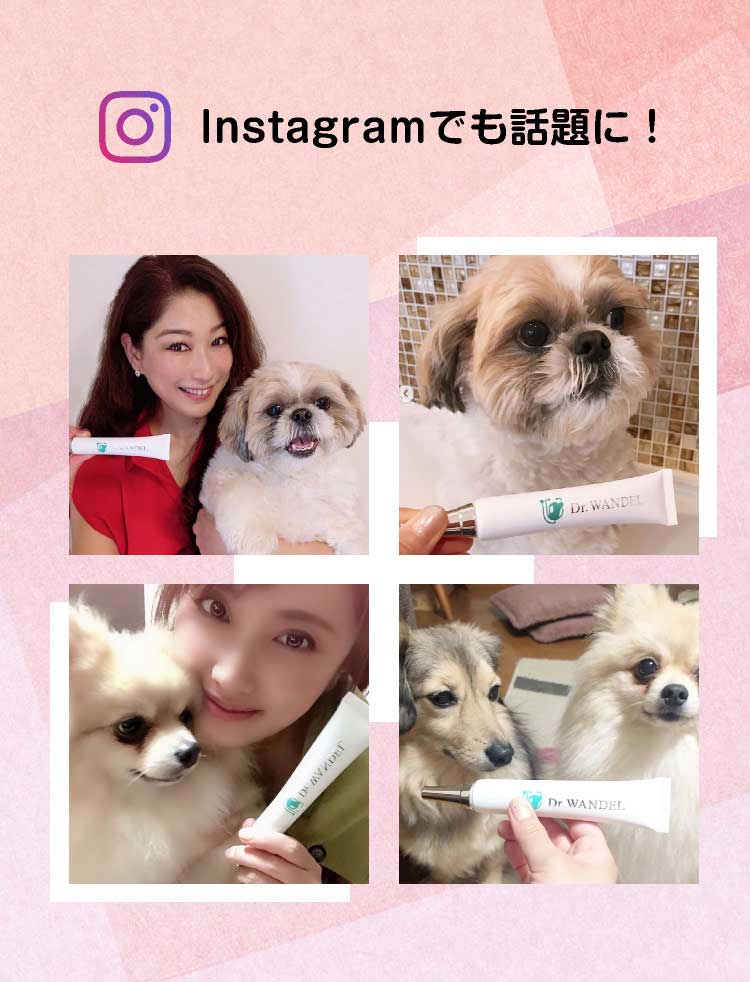 楽天市場】【公式】【メディアで話題】 Dr.wandel ドクターワンデル