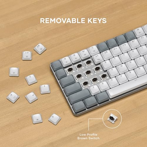 楽天市場】Satechi SM1 メカニカルキーボード LED バックライト付き