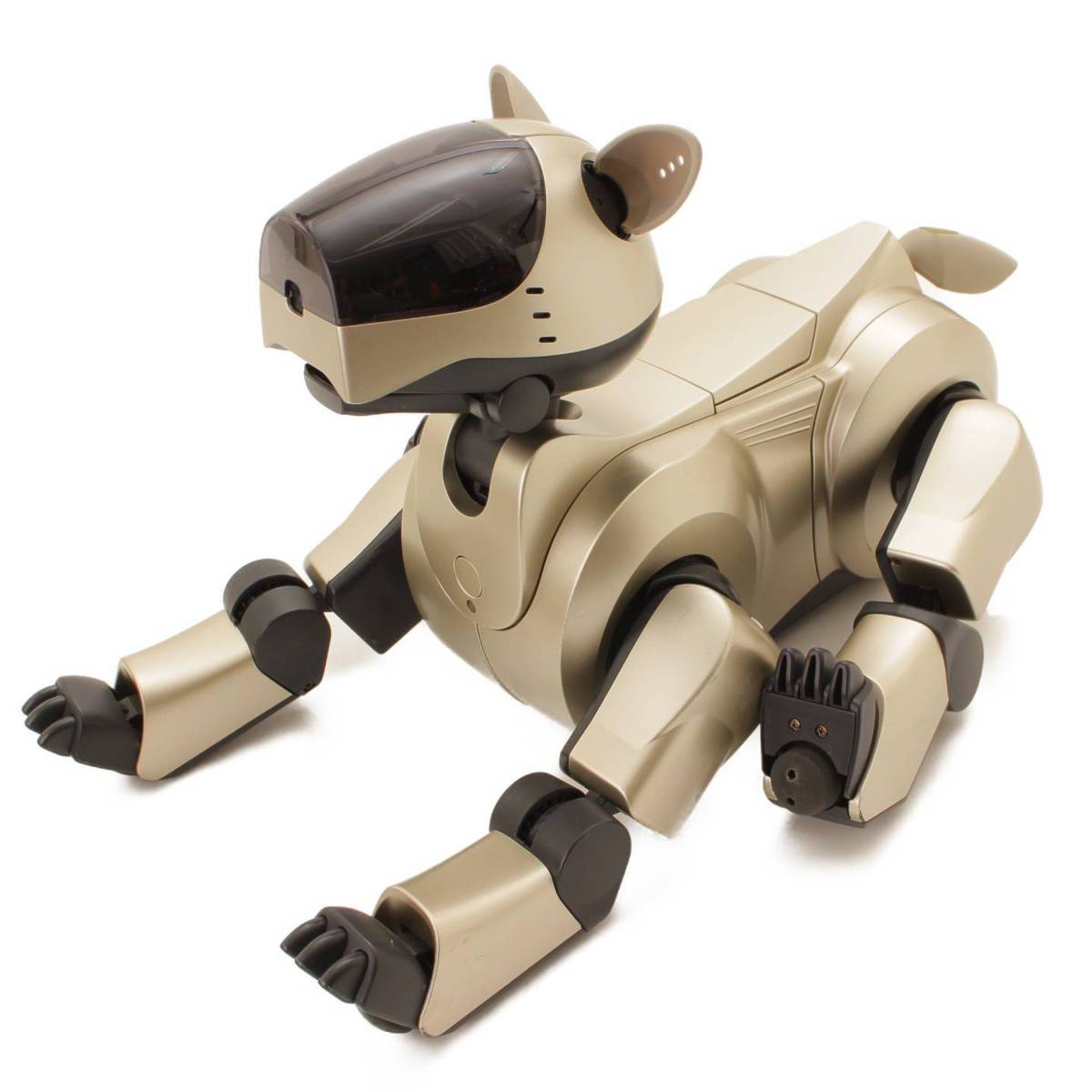 SONY AIBO ERA-210P1 ジャンク アイボ SONY AIBO ERA-210P1 ジャンク