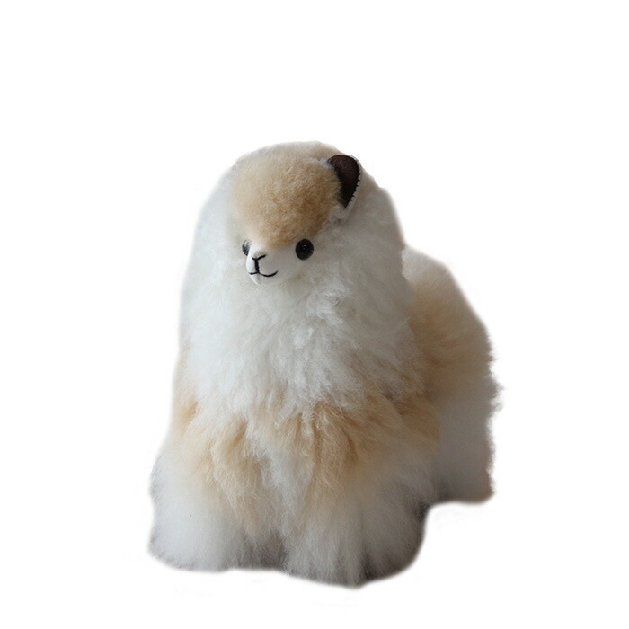 楽天市場】NEWカラー 『ふわふわ』 アルパカ ぬいぐるみ 本物 生後2