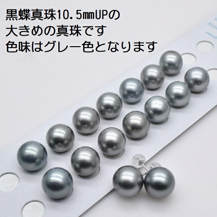 楽天市場】南洋真珠ピアス/イヤリング/10.5mmUP/本真珠/黒蝶/一粒
