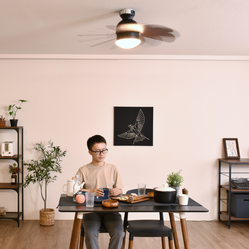 楽天市場】シーリングファンライト リモコン付き シーリングライト