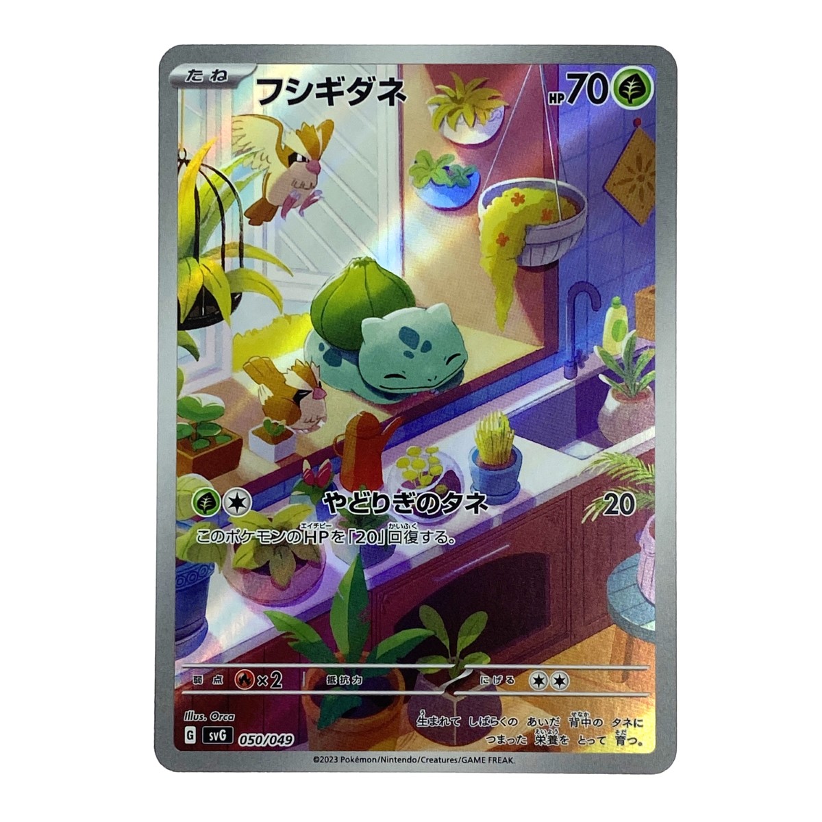 楽天市場】##【中古】 ポケモンカード フシギダネ050/049・ヒトカゲ051