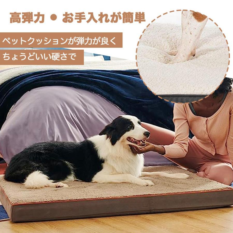 楽天市場】ペットベッド ペットクッション M 長方形 ペットソファー 犬