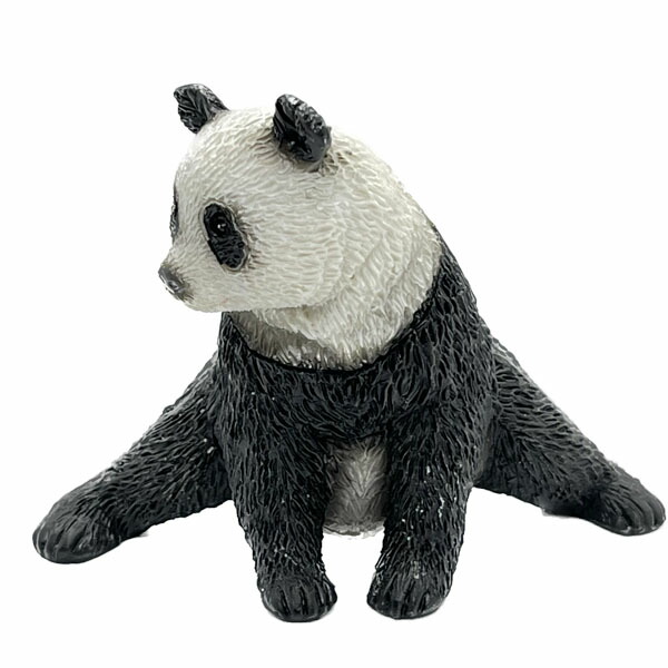 マーティンワトソン パンダ PANDA ED250 2020年作品 gp購入 Martin