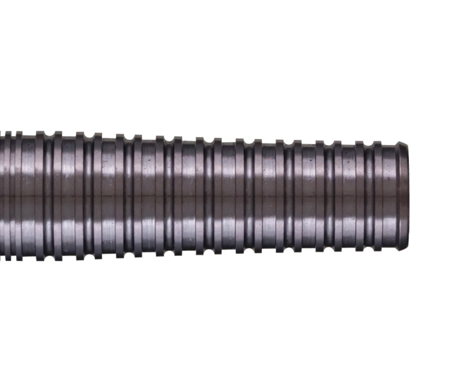 楽天市場】【メール便OK】【送料無料】ダーツ バレル【ダイナスティー