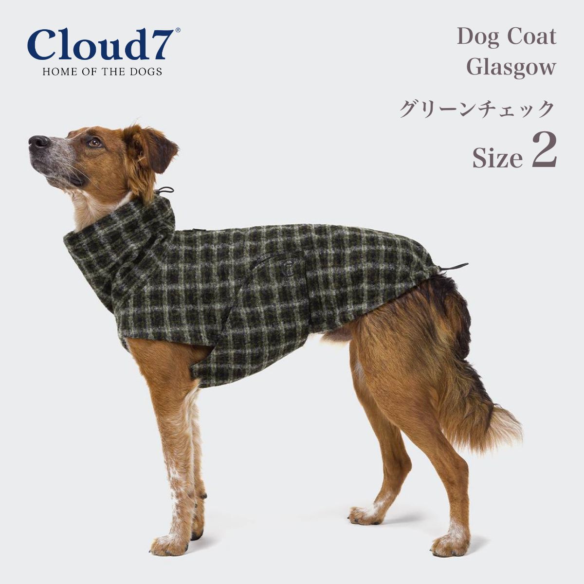 楽天市場】犬用コート Cloud7 クラウド7 グラスゴー グリーンチェック