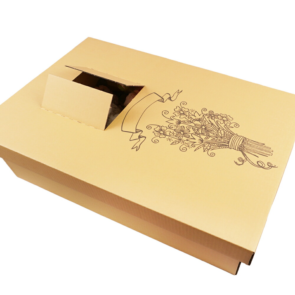 楽天市場】ペット用 棺 犬用 猫用 ダンボール製 【翌日配送】 やさしい