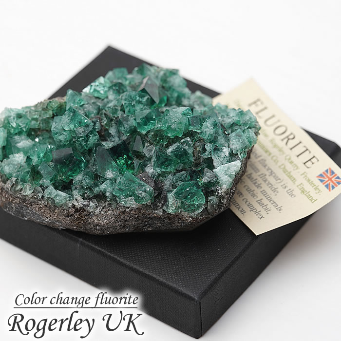 楽天市場】【一点物】【希少】【蛍光】ロジャリーフローライト 原石