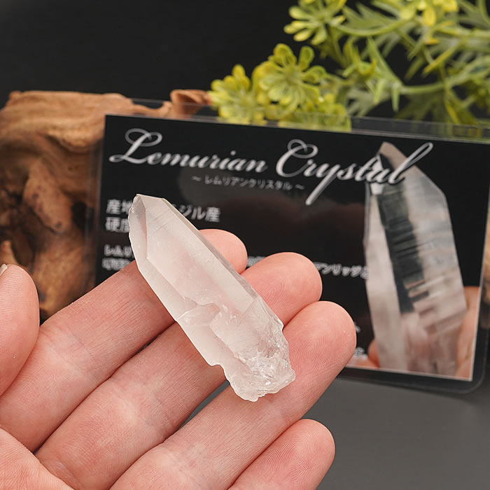 楽天市場】レムリアンシードクリスタル ブラジル産 解説カード付き