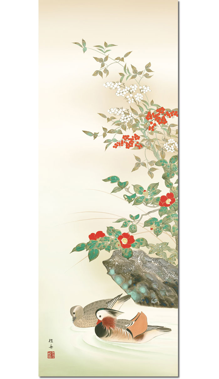 楽天市場】掛け軸 掛軸 鴛鴦 おしどり 幅54.5×高さ約190cm 長江桂舟 尺
