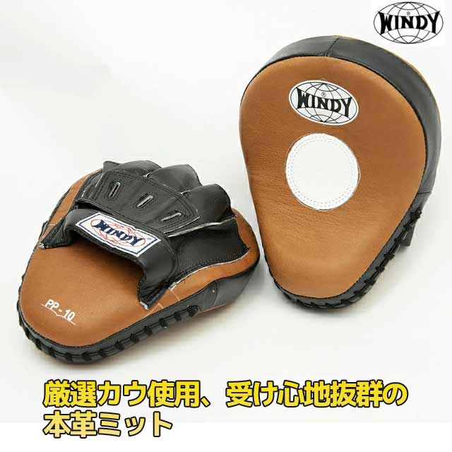 レア】 WINDY ローキックミット 黒 2022年購入 クラシックタイプ レア