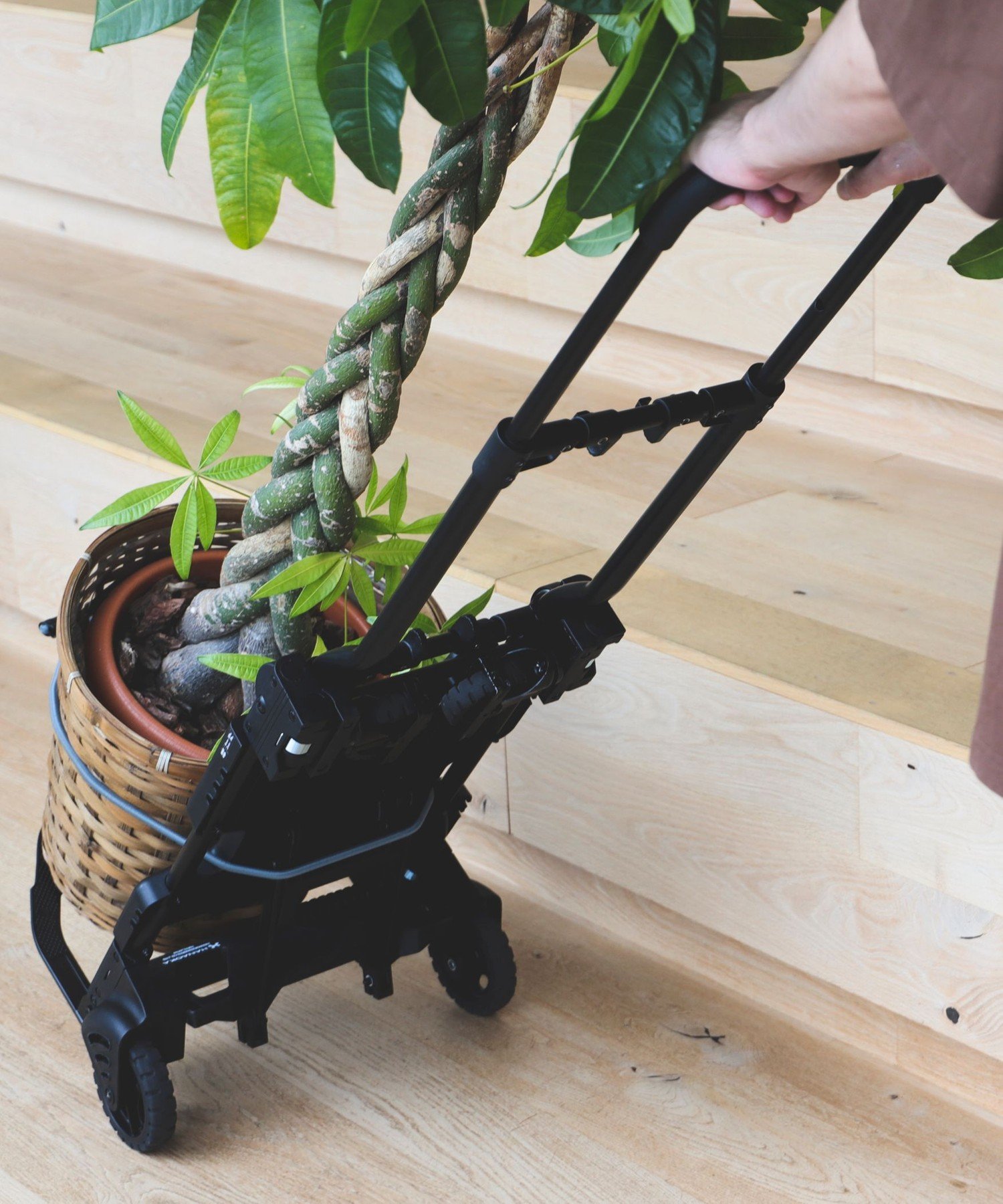 BEAMS MEN｜花岡車輌 / FLAT CART 2*4 BLACK | Rakuten Fashion(楽天