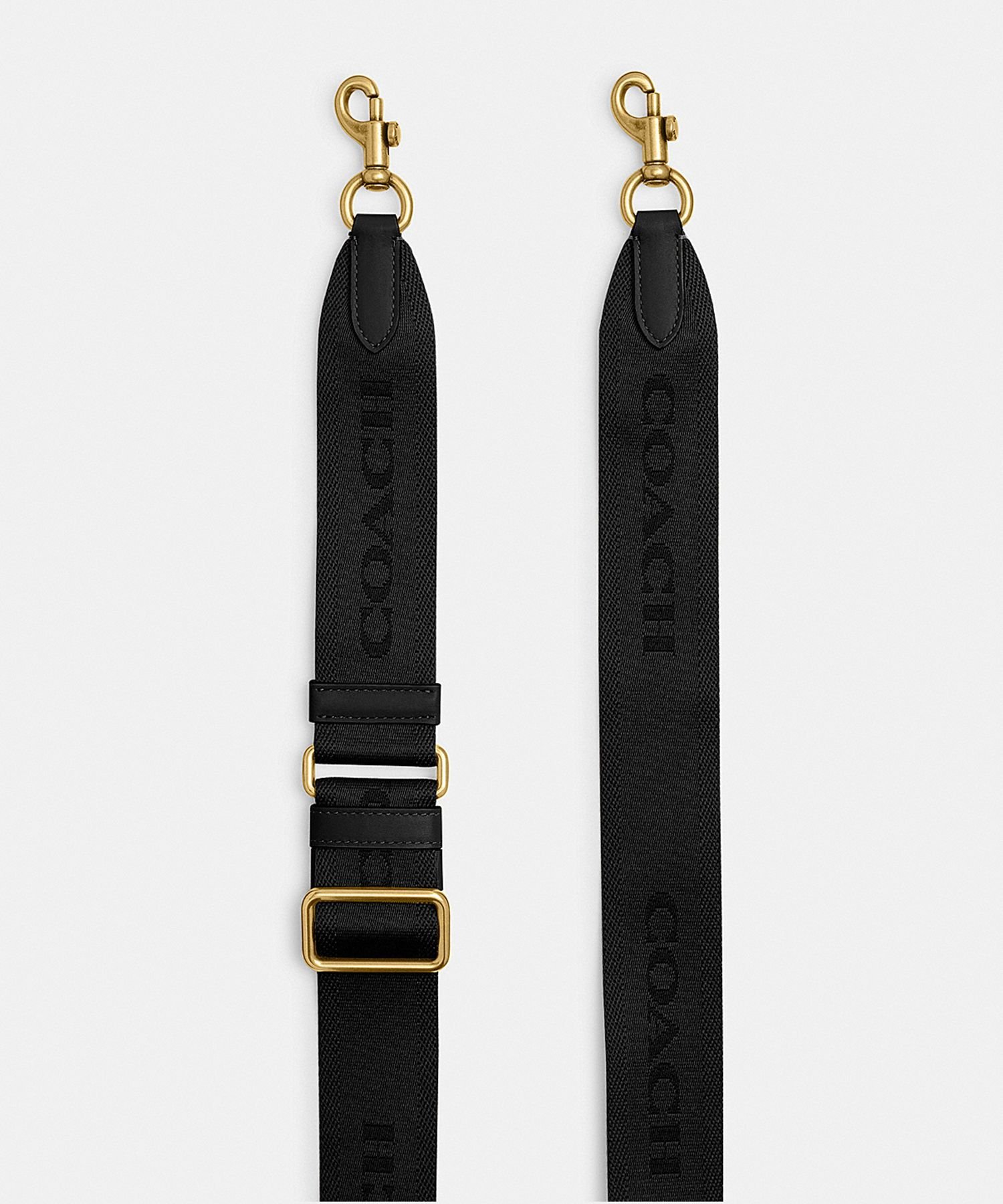 COACH OUTLET｜【公式】コレクティブル ベア・シグネチャー キャンバス