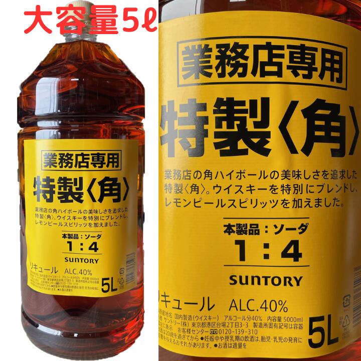 業務用5l 角 2本セット